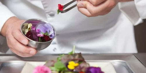 Bar à Fleurs Comestibles
