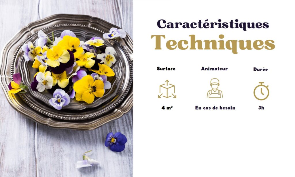 Caractéristiques techniques Bar à Fleurs Comestibles - Bar à Fleurs Comestibles