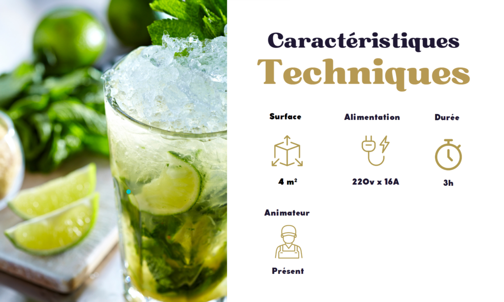 Caractéristiques techniques Bar à Mojito