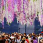 Blog - Préparez le printemps avec Mon Event