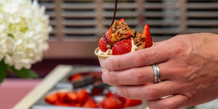 frozen yogurt