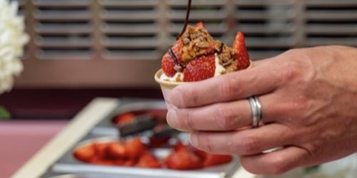 Animation Frozen Yogurts