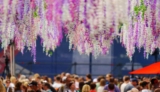 Un printemps festif et convivial avec Mon Event